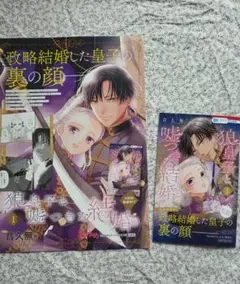 非売品　狼皇子と嘘つきな結婚　ポスター　小冊子