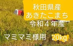 令和4年秋田県産 あきたこまち 農家直送 新米10kg