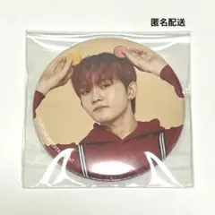 INI 田島将吾 ファンミ 缶バッジ
