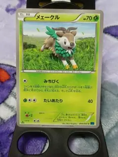 ポケモンカード　メェークル XY1