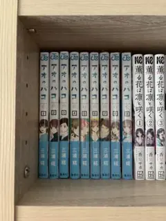 アオのハコ 9巻セット