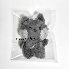 ZEROBASEONE ゼベワン　ウンニニ　ジウン　ぬいぐるみ　キーホルダー