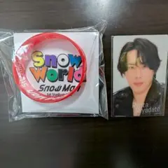 宮舘涼太チラ見カード ラバーバンドSnowMan1st Stadium Live