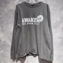 【送料無料】 USA古着 ANVIL アンヴィル AWAKEN 2017 ロンＴ
