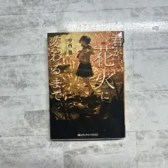 君が花火に変わるまで 中西鼎