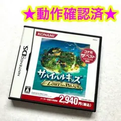 DS サバイバルキッズ LOST in BLUE