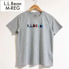 【美品】L.L.Bean グラフィックT ジャパンフィット M