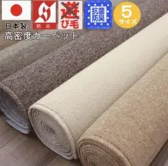 カーペット4.5畳 ラグ 防炎 防災 防臭 抗菌 じゅうたんサンド261×261