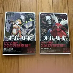 オーバーロード 3巻•4巻