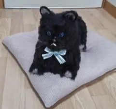 Item thumbnail for item fa15fd7a-5969-46bc-8a4c-fe65913b433f