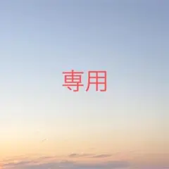 専用アイテム