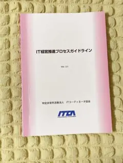 IT経営推進プロセスガイドラインVer3.1