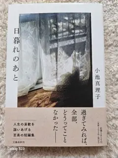 日暮れのあと　小池真理子