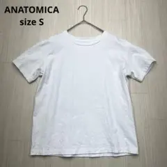 ● ANATOMICA アナトミカ　白　Tシャツ レディース　S