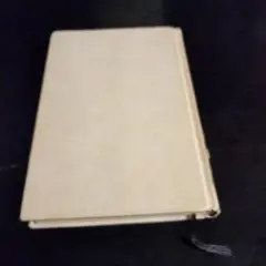 ウィトゲンシュタインのパラドックス