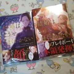 初版！透明カバー付！この結婚はどうせうまくいかない 1 2巻セット　漫画