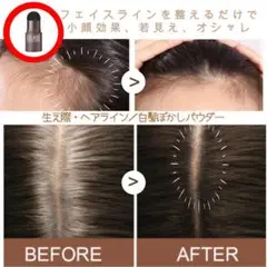 生え際 ヘアファンデーション 男女兼用 白髪隠し 小顔効果 ヘアライン用