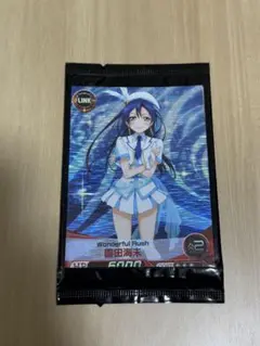 ファイブクロス　園田海未
