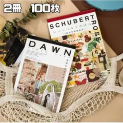2冊100枚 大きい シールブック コラージュ ステッカー 大容量 海外 レトロ