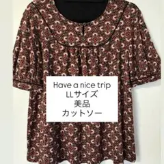 Have a nice trip LLサイズ 花柄カットソー
