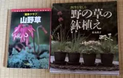 山野草の本2冊　山野草、野の草の鉢植え