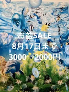 VIVRESA VIEシルク40%タンクトップ