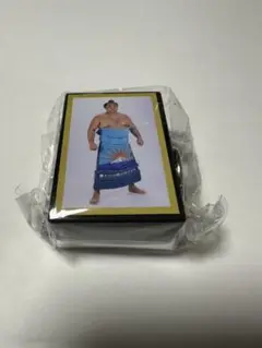 Item thumbnail for item 161626fa-27a7-4742-a6ec-d4831ade4c94