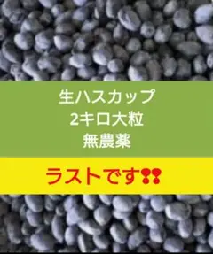 ラストです！北海道　生ハスカップ2キロ 2025年最新】生ハスカップの人気アイテム - メルカリ