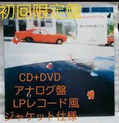 【新品未使用】GRAPEVINE / 退屈の花 LP レコードアナログ盤 退屈の花」がアナログ盤で復刻 | GRAPEVINE OFFICIAL WEBSITE