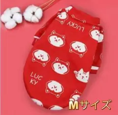 Item thumbnail for item 5dd21a71-6417-4d6c-9418-ad2dbde1533d