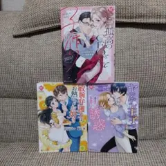 エタニティコミックス3冊セット