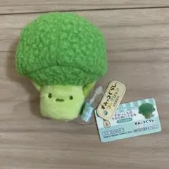 すみっコぐらし　てのりぬいぐるみ　ブロッコリー