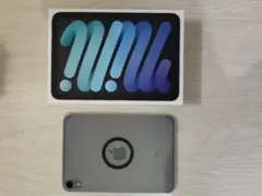 iPad mini 6th 256GB WiFi&Cellular