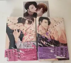 溢れて零れて、我慢できない overflow 上下巻 アニメイトセット