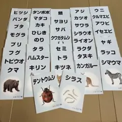 ベビーパーク ピクチャーブックレット40冊！
