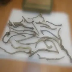 Item thumbnail for item b34885bc-136f-46cd-a0b2-b2191d8cc221