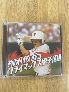 最終　柳沢慎吾 / 柳沢慎吾のクライマックス甲子園