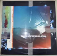 TK from 凛として時雨　brain films vinyl メガジャケ付