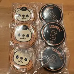 エニマイくじ ジャイアンツ ライオンハヤト缶バッジ3個セット