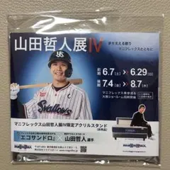 【非売品】山田哲人 限定アクリルスタンド マニフレックス