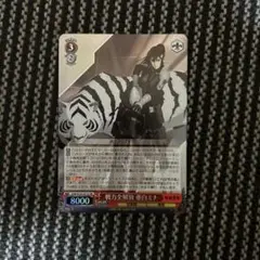 ヴァイスシュヴァルツ　怪獣8号 戦力全解放 亜白ミナ SR