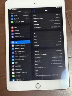 Ipad mini 5 64GB