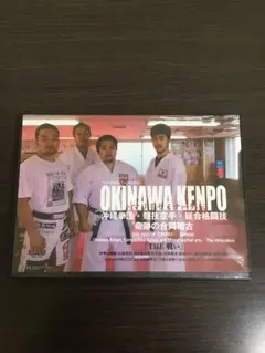 トマリ手セミナー外伝 沖縄拳法・競技空手・総合格闘技 奇跡の合同稽古 (DVD)