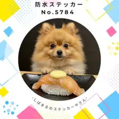 【送料無料❣️】ポメラニアン防水ステッカー 寿司