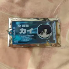 超特急 2号車 カイ EVE チケットキーホルダー