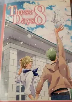 ONE PIECE同人誌 These Days 8