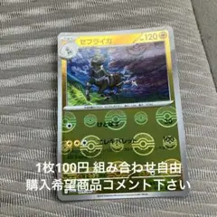 ゼブライカ　モンボレア　在庫1