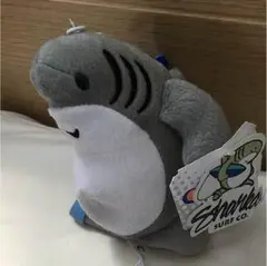クレイジーシャツ　シャーカ　サメ　ハワイ　西野七瀬 コケタニくん　入手困難 クレイジーシャツ シャーカ サメ ハワイ 西野七瀬 コケタニくん