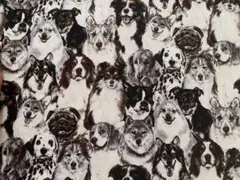 △イヌ△いぬ△犬△dog△ワンちゃん大集合△オックス生地△モノトーン系