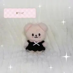 ぬい服 SKZOO 10cmぬいぐるみ ワンピース 黒 パピーム フォクシニー